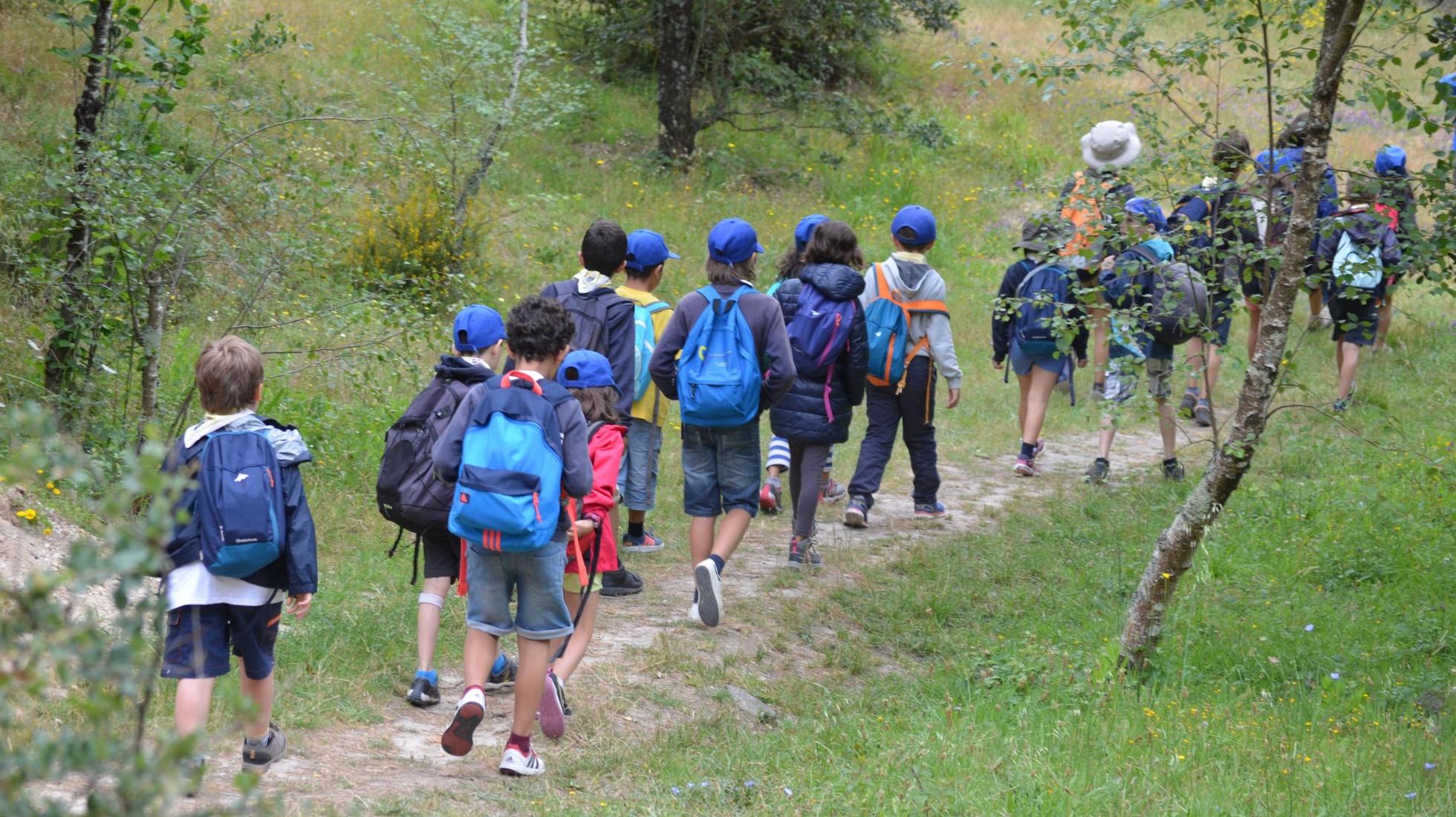 Environmental Education